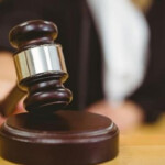 Indian American Woman Appointed Interim Civil Court Judge In New York