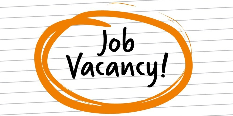 Omadaily Borno State Civil Service Commission Recruitment